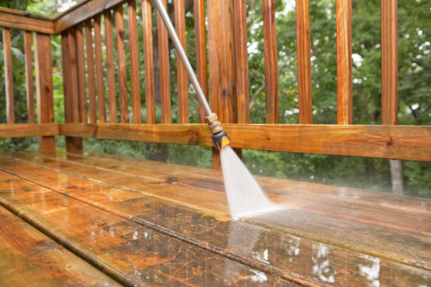 Best Soft Washing for Delicate Surfaces in Wailea, HI